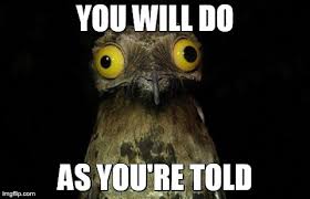 Weird Stuff I Do Potoo Meme Imgflip