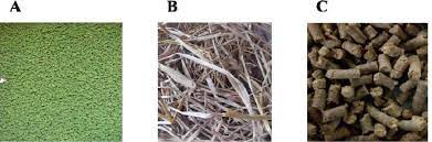 Nutri Rich Cattle Feed Nuca Feed Supplement With Improved Fiber Content Free Of Anti Nutritional Factor Phytic Acid Biorxiv