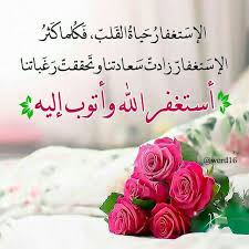 ف ق ل ت اس ت غ ف ر وا ر ب ك م إ ن ه ك ان غ ف ار ا ي ر س ل الس م اء ع ل ي ك م م د ر ار ا و ي م د د ك م ب أ م و ال و ب ن ين Flowers Plants Rose