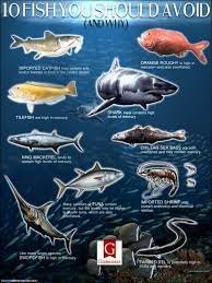 10 Fish You Shouldn T Eat And Why Juicing For Health Food Infographic Nutrition Recipes