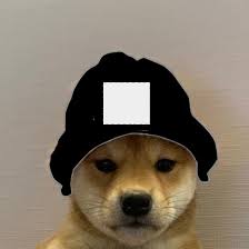 Download the free graphic resources in the form of png, eps, ai or psd. Dog With Hat Meme Maker