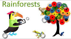 Rainforest Amazing Facts Sights And Sounds Science Videos For Kids Youtube