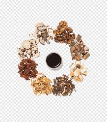 chinese herbology traditional chinese medicine dietary supplement medicinal plants medicine american ginseng png pngegg chinese herbology traditional chinese