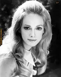 Do You Remember the 1971 movie "Willard"