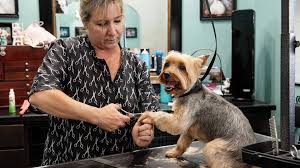# foursquare © 2021 lovingly made in nyc, chi, sea & la. Modesto Ca Businesses Struggle To Pay Rent During Covid 19 Modesto Bee