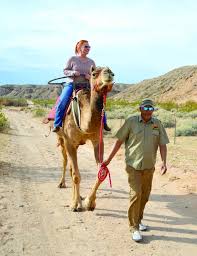 Formally casino travel and tours, vegas desert tours is a las vegas based tour company specializing in outdoor tours in and around the las vegas area. Take A Walk On The Wild Side Nevada Magazine