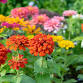Kids Garden Hour (ages 5 and under)