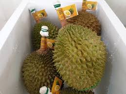 Collection of fruits name in english with high quality fruit images and fruit videos. Malaysian Durian Production Volume Declined