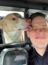 UPDATE*** Good news! Pup's owners have come to pick him up. Thanks to  everyone again for a successful reunion! 👏🏼 This super friendly pup was  found near Van Dyke and 119th. As