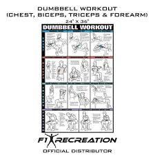original dumbbell workout poster chest
