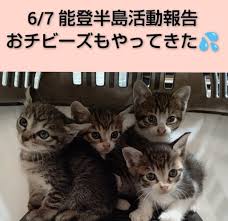 Yahoo!ニュース - News update