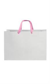 Merchandise Paper Bags Light Pink Ribbon Handles Store Supply