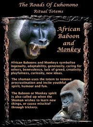 Spirit Animals African Baboon Monkey Totem Spirit Animal Totem Spiritual Animal Animal Spirit Guides