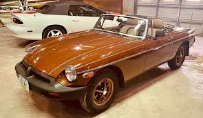 Image result for Russet 1979 MG