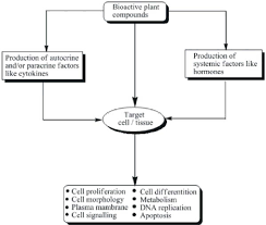 Flow Chart Showing Toxicity Due To Herbal Products 32