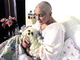 The Elizabeth Taylor Archives Elizabeth Taylor Harry Benson Liz Smith