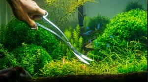 Cara membuat air terjun aquascape dengan aerator. Cara Membuat Air Terjun Aquascape Dengan Power Head Untuk Pemula