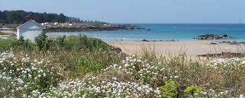 Copiez simplement l'url affichée dans la barre d'adresse de cette page, merci. Guide Ile D Yeu Toutes Les Informations Sur L Escale