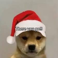 Bennett_s (@bennett_swope1)