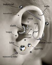 in case you need a helpful diagram of which piercings are