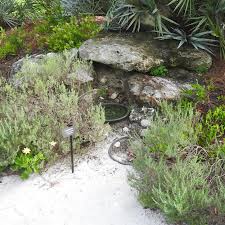 Image result for Aristida canescens