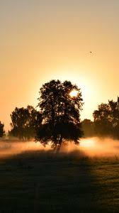 You can also upload and share your favorite sunrise sunrise background images. Sunrise Iphone 8 7 6s 6 For Parallax Wallpapers Hd Desktop Backgrounds 938x1668 Images And Pictures