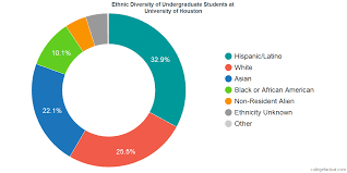 University Of Houston Diversity Racial Demographics Other
