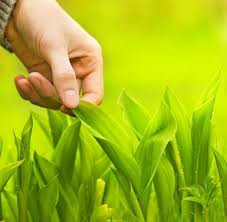 Beautiful Nature Love Pictures Free Stock Photos Download 22 688 Free Stock Photos For Commercial Use Format Hd High Resolution Jpg Images Epic cutest pics for amateur lover (pages: beautiful nature love pictures free