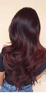 Another Example Of A Subtle Brown And Red Ombre Miladies Net Hair Color Dark Gorgeous Hair Color Hair Styles