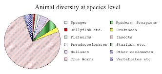 Invertebrate Species Pie Chart Vertebrates Insects