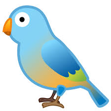 Membuat gambar burung animasi png. 700 Gambar Burung Png Paling Keren Gambar Id