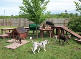 Sweet Dreams Doghouse Home Dog Backyard Dog Playground Dog Yard