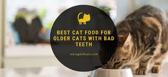 Bad breath is a fairly dependable indicator that your cat may have some form of dental disease. Best Cat Food For Older Cats With Bad Teeth My Ragdoll Cats