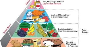 Piramid makanan mengandungi beberapa bahagian makanan yang biasanya dikategorikan mengikut kesamaan. Dunia Pendidikan Jasmani Dan Kesihatan Tahun 4 Pemakanan Seimbang