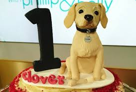 Bonus materials available after purchase. Personalised Wedding Cake Toppers Cake Figures Totallytoppers Com
