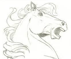 300x350 how to draw a mustang horse. Image Result For Wild Mustangs Hidden Pics Drawings Horse Head Drawing Horse Drawings Horse Sketch