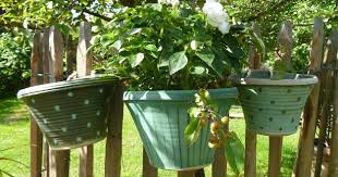 Blumentopfe Keramikwerkstatt Baumgartner Pflanzen Blumen Garten