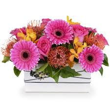 Confused What To Send Someone In The Hospital Other Than Flowers We Are There To Help You To Deliver Different Gifts Flower Delivery Flower Gift Flower Crafts