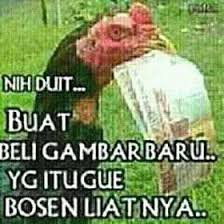 Kumpulan aplikasi stiker whatsapp (wa stickers) terbaik 2019, saatnya perang gambar. Download Meme Lucu Untuk Perang Gambar Terbaru 2018 Cerita Lucu 21 Meme Lucu Lucu Meme