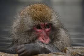 Our much bigger goal is to make this channel the 2nd happiest place on earth (… since disneyland will always be the happiest place on earth). Page 5 Royalty Free Bath Photos Free Download Pxfuel