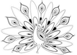 Shop exclusive items · everyday low prices · curbside pickup Free Printable Peacock Coloring Pages For Kids