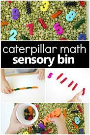Explore sensory play with these thanksgiving sensory activities for preschoolers! Counting Caterpillars Spring Sensory Bin Fantastic Fun Learning