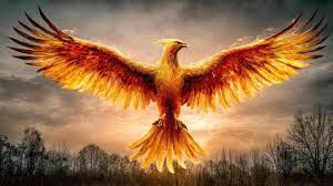 Image result for Phoenix