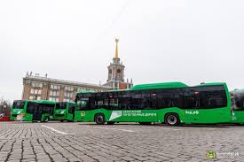 Tolko Krokodily Spasut Etu Stranu Ot Mudakov Varlamov Ru Zhzh