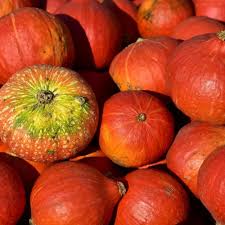 We earn a commission for products purchased through some links in this article. Pumpkin Quiz Questions And Answers Free Online Printable Quiz Without Registration Download Pdf Multiple Choice Questions Mcq