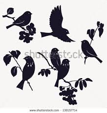 Birds Set Hayvanlar Kanvaslar Fotograf