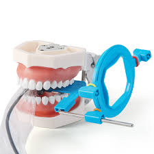 Image result for Periapical Block