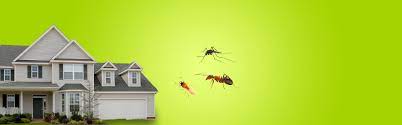 Find a detroit pest control expert. Pest Control Services In Detroit Pest Control Southfield Mi