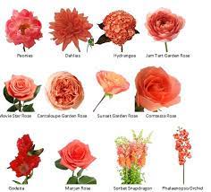We did not find results for: Flowerful Events Color Of The Month Coral And Teal Color Combinations Flowerful Events Coral Wedding Flowers Coral Wedding Colors Coral Flowers
