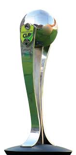 Nedbank cup 2008 logo, hd png download is free transparent png image. Nedbank Cup Diversity Management